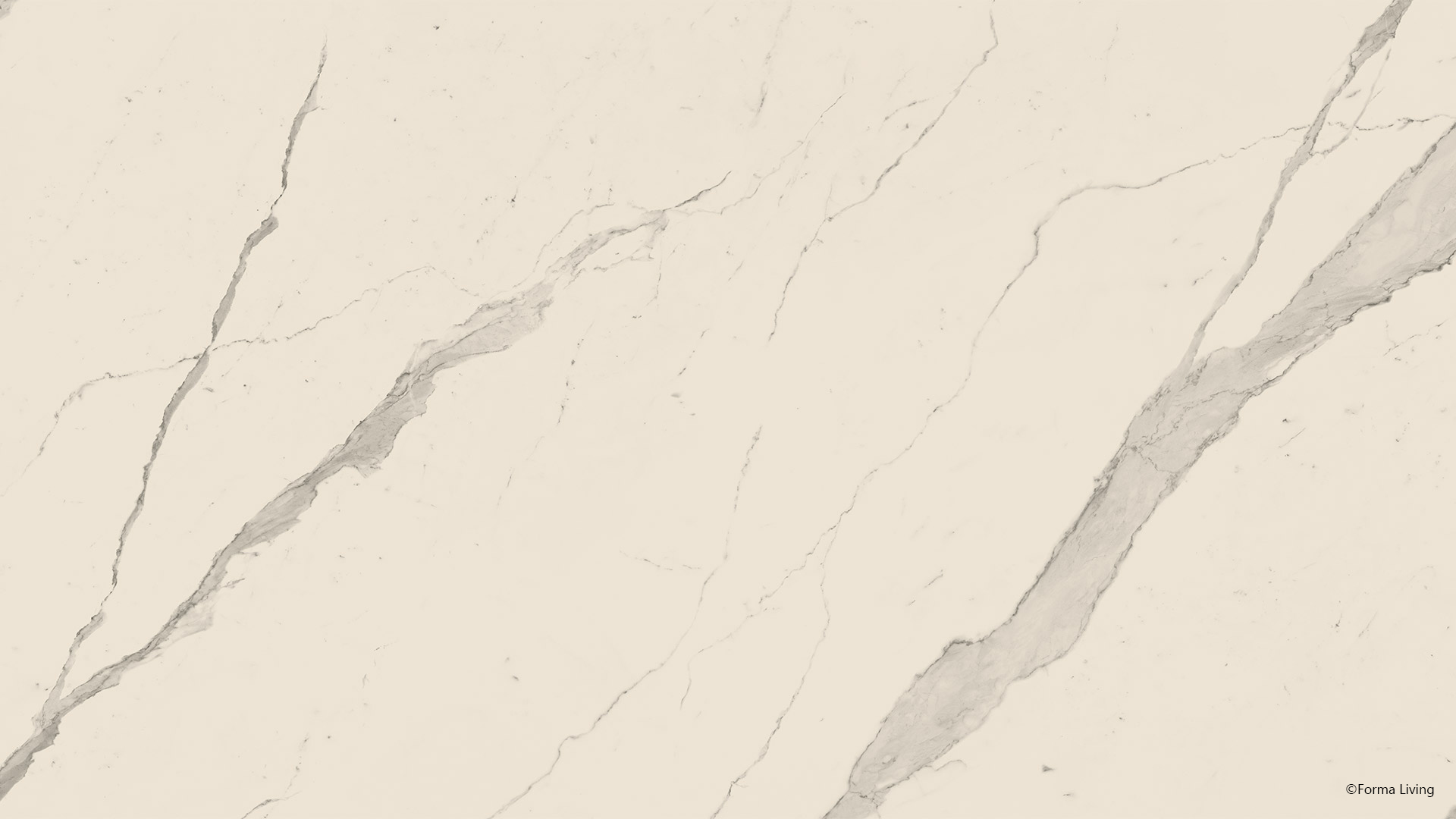 Bianco Statuario Venato
