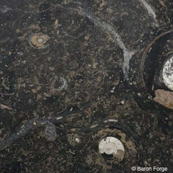 Dark Fossil Brown