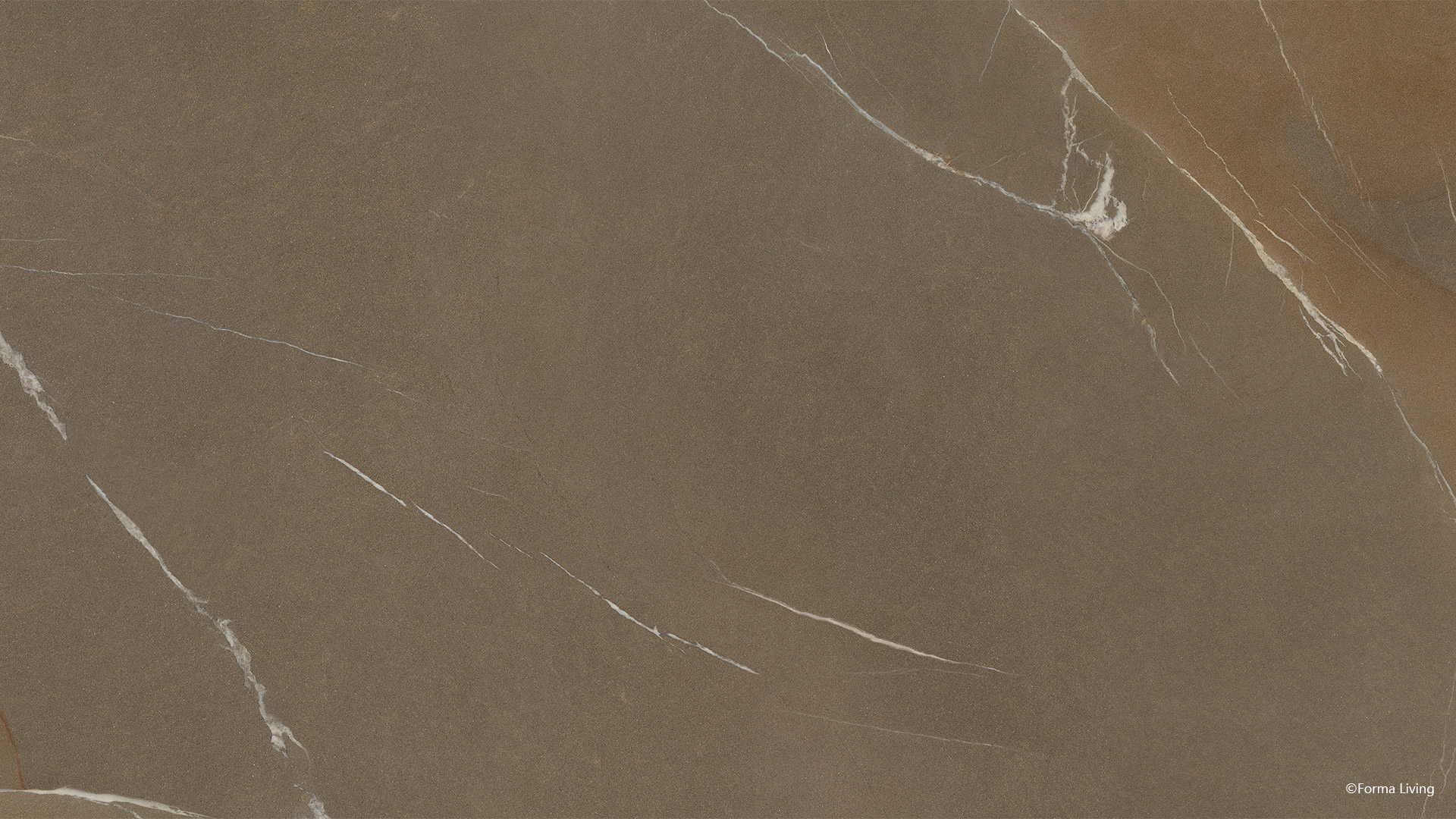 Pietra Piasentina Taupe
