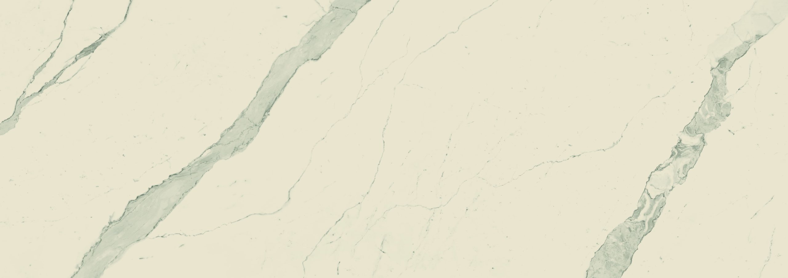 Bianco Statuario Venato